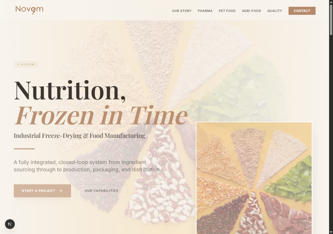 Homepage (run locally)
